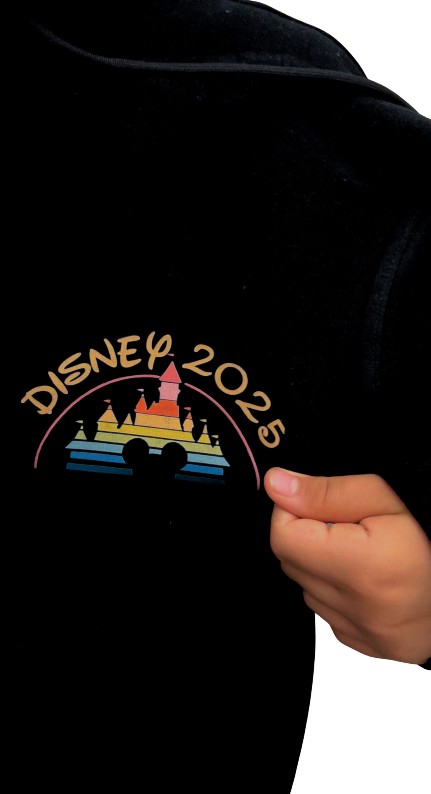 Hoodie - Disney Family Vacation 2025